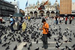 Paul feeds the pidgeons in San Marco Square in Venice.